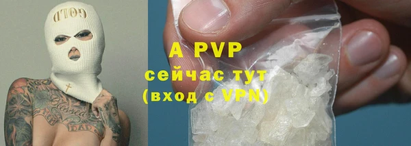 соль ск Инта