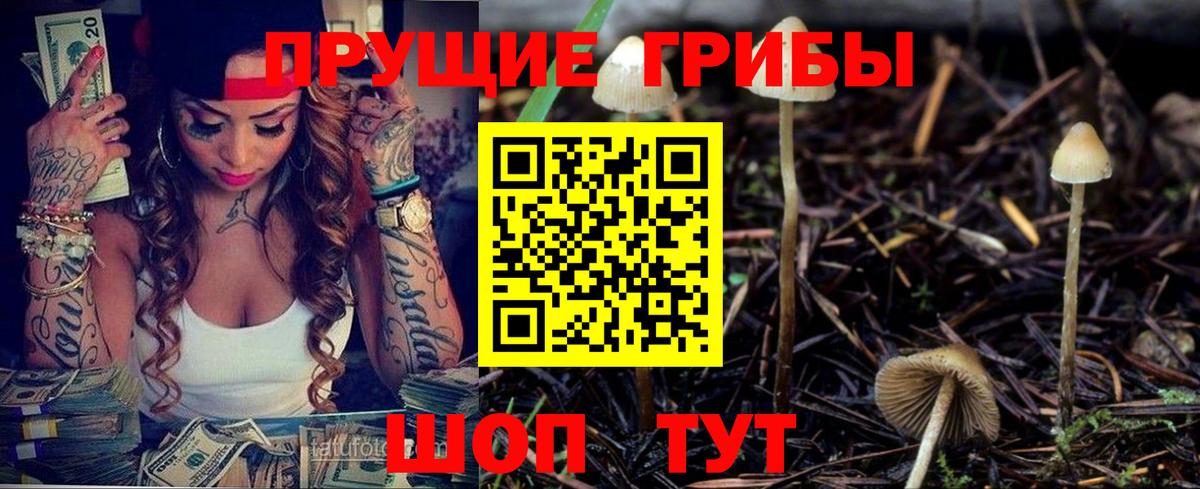 Галлюциногенные грибы прущие грибы Кинель