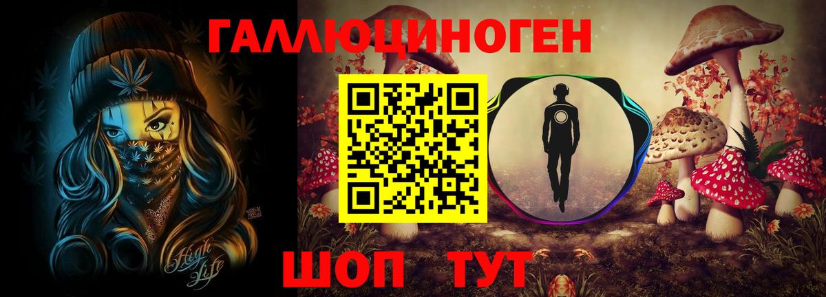Кинель  Псилоцибиновые грибы Psilocybine cubensis  Вход с VPN  Псилоцибиновые грибы GOLDEN TEACHER 
